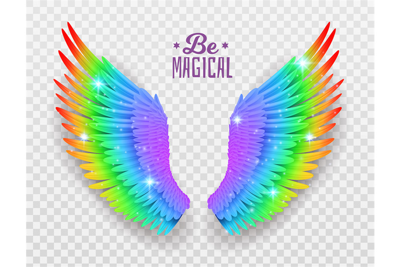 rainbow-wings-realistic-bright-freedom-symbol-symmetric-shapes-prid