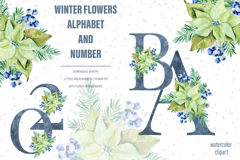 watercolor-winter-floral-alphabet-with-poinsettia-flowers