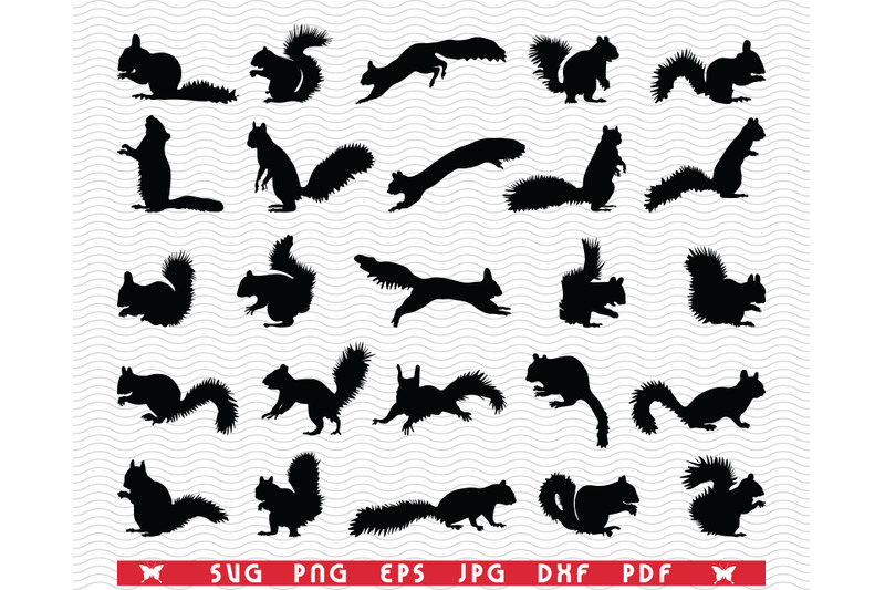 svg-squirrels-black-silhouettes-digital-clipart