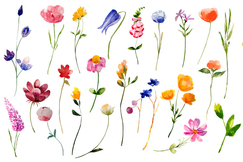 watercolor-wildflowers