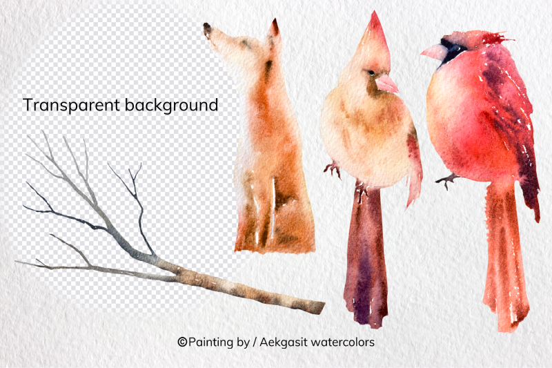 watercolor-winter-forest-animals-png