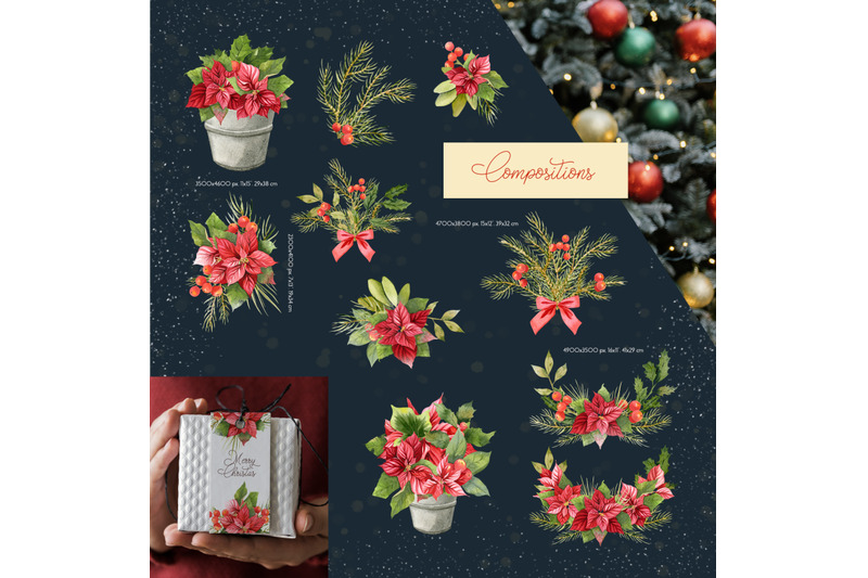 christmas-poinsettia-and-mistletoe-floral-watercolor-clipart