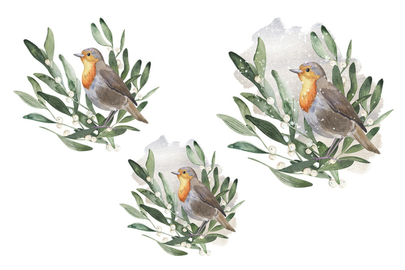 watercolor-illustration-of-robin-and-mistletoe