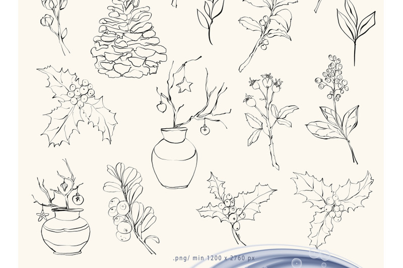 line-art-christmas-flower-clipart-illustrations-20-png