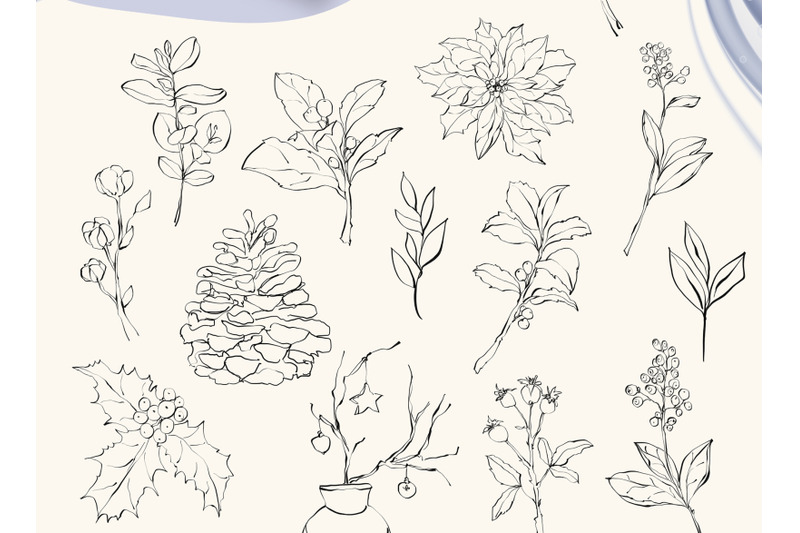 line-art-christmas-flower-clipart-illustrations-20-png