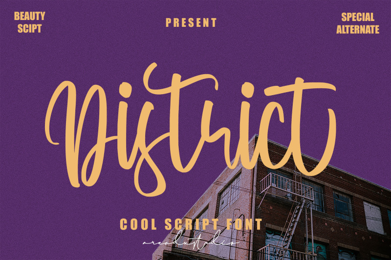 district-cool-script-font