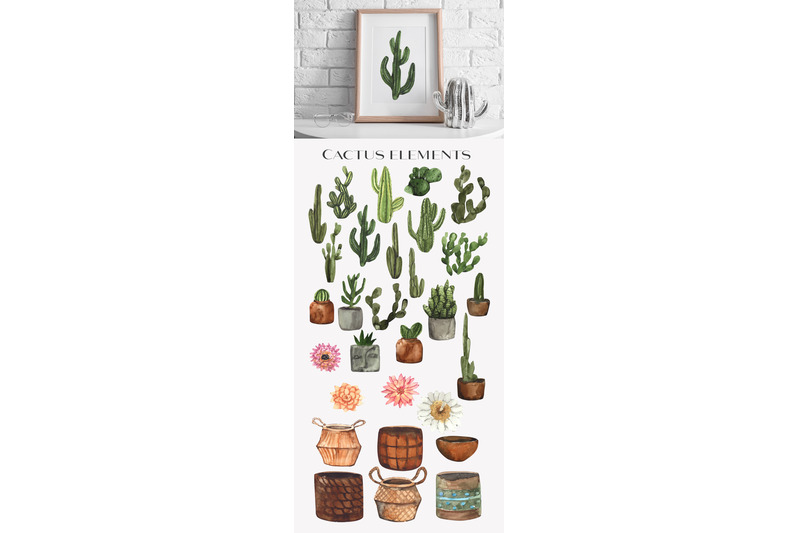 cactus-valley-watercolor-collection
