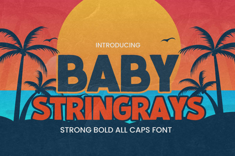 baby-stringrays