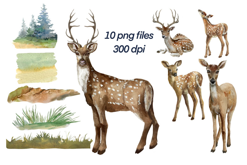deer-clipart-woodland-animals-forest-illustration-png
