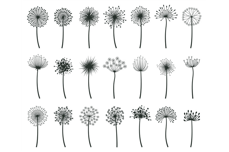 dandelion-blowball-botanical-fluff-flower-plants-silhouettes-hand-dra