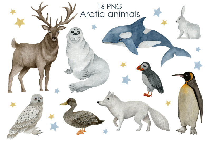 watercolor-arctic-animals-clipart