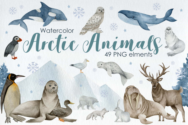 watercolor-arctic-animals-clipart
