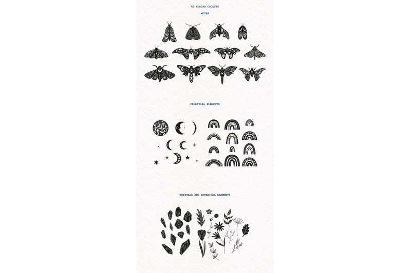 mystic-moth-vector-collection