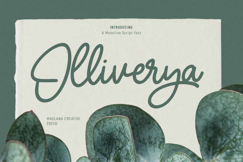 olliverya-monoline-script-font