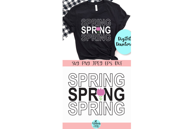 spring-mirror-svg-spring-svg