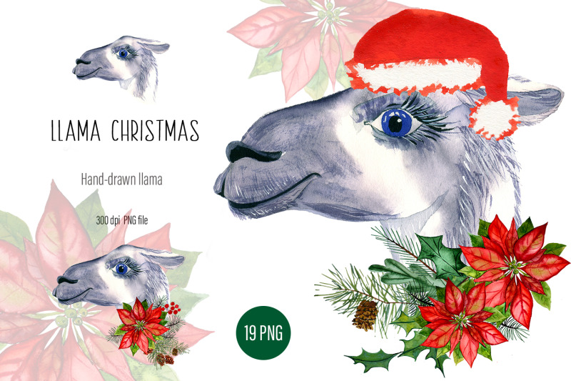 watercolor-llama-christmas-clipart-sublimation-designs