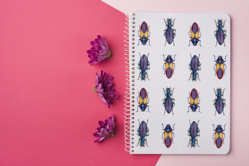 watercolor-set-illustrations-watercolor-beetles-illustrations-nbsp