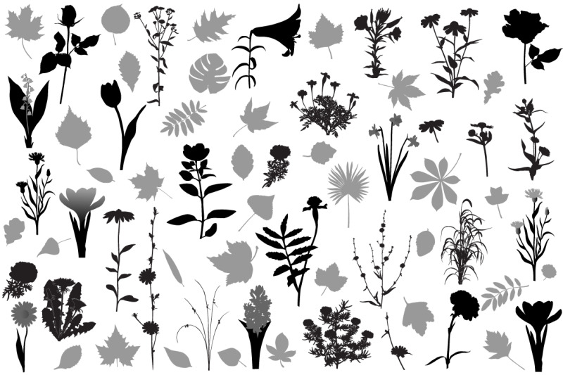 66-silhouettes-of-flowers-and-leaves