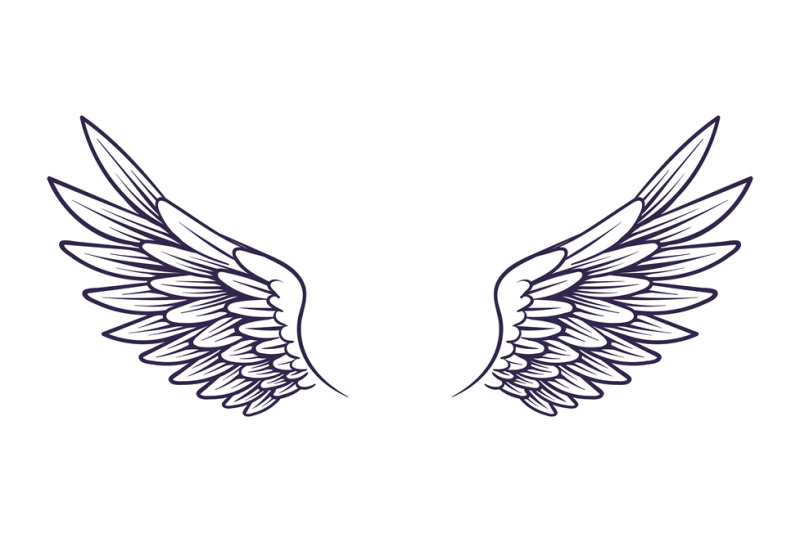 drawn-wing-angel-wings-with-feathers-elements-for-logo-label-or-tat