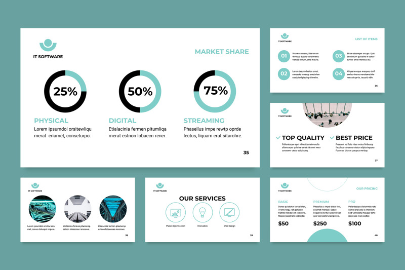 it-software-powerpoint-presentation-template