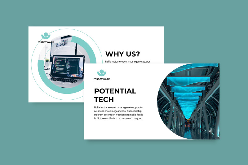 it-software-powerpoint-presentation-template