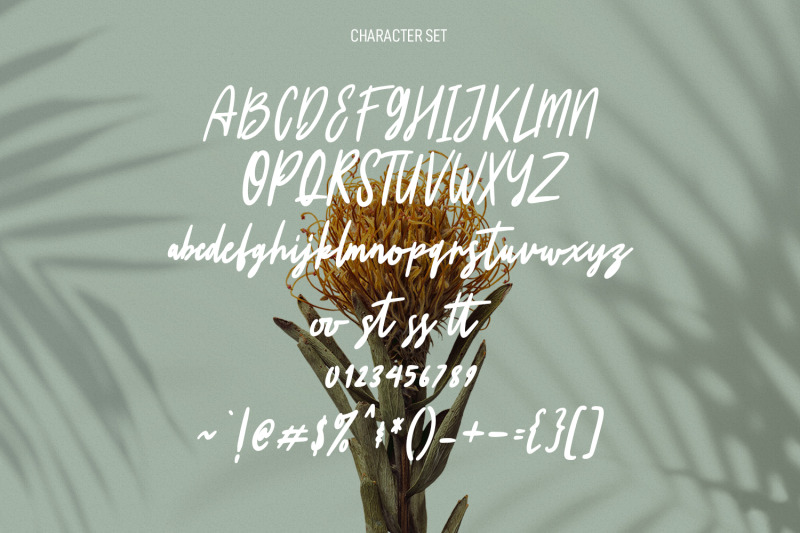 winterstein-script-brush-font