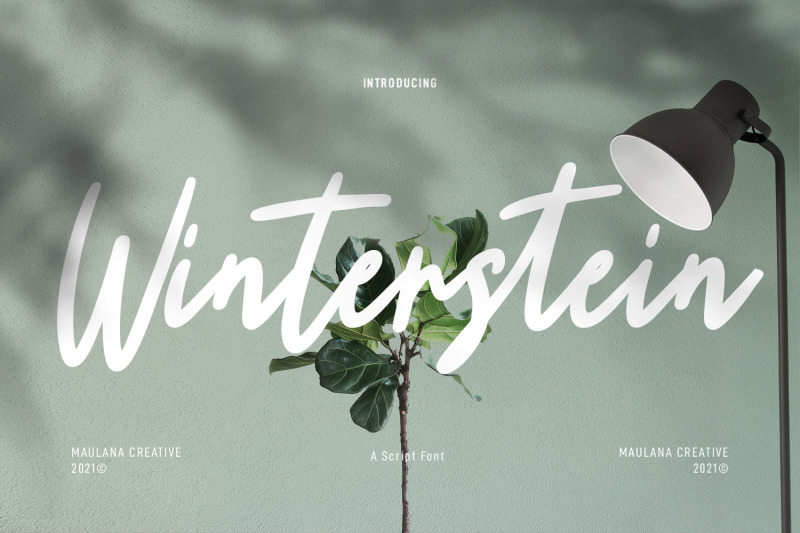 winterstein-script-brush-font