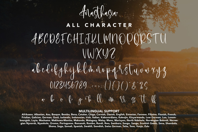 anasthasia-beauty-calligraphy-font