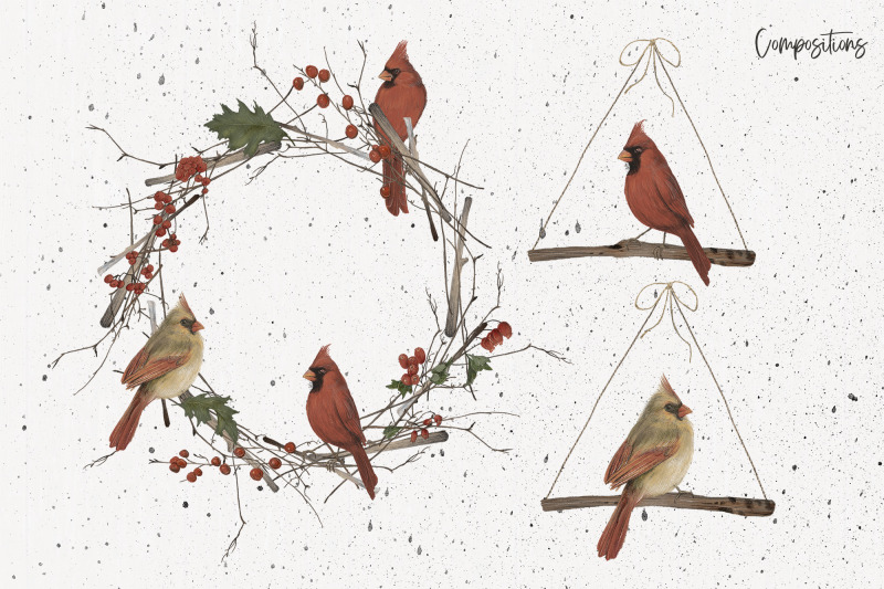 red-cardinals-compositions-png-sublimation-winter-designs