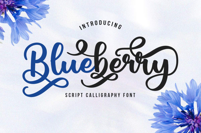 blueberry-script-calligraphy