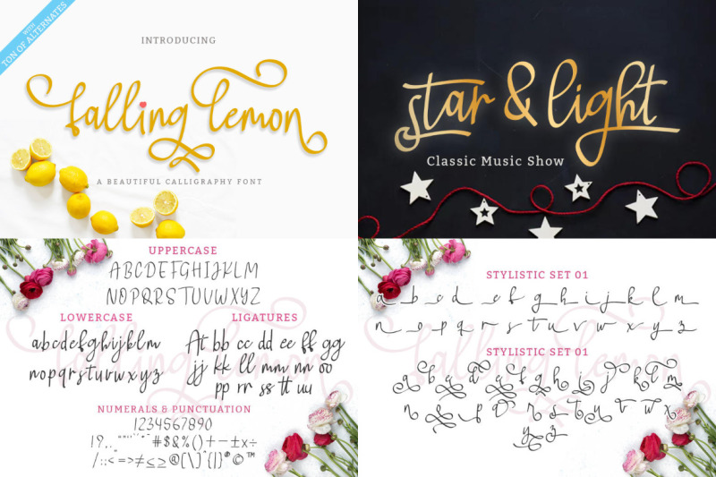 best-seller-calligraphy-font-bundle