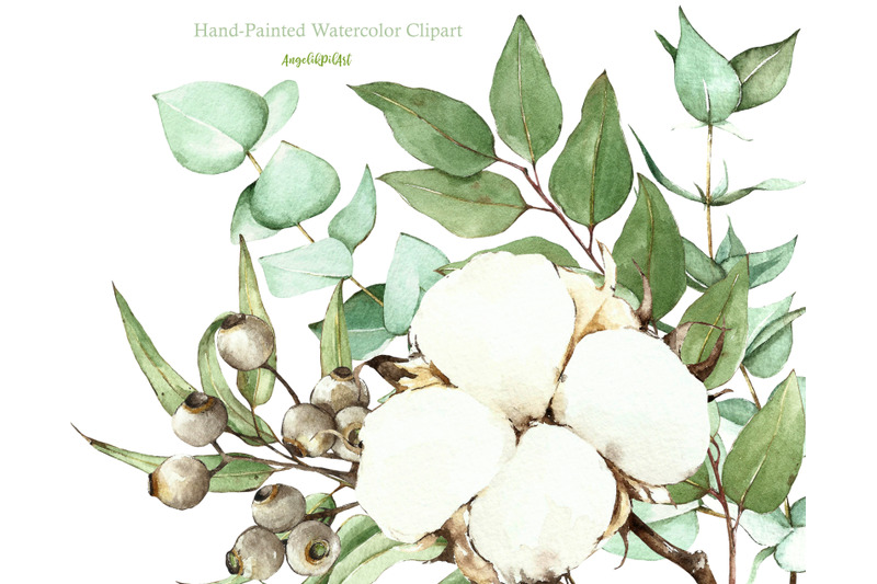cotton-flowers-and-eucalyptus-watercolor-collection