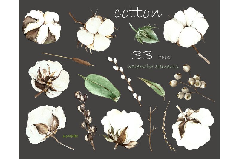cotton-flowers-and-eucalyptus-watercolor-collection