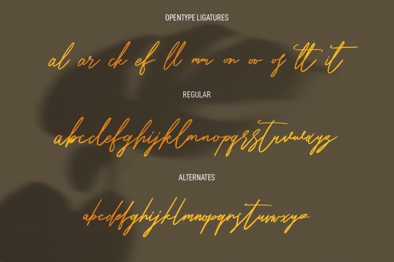 hitshot-signature-script-brush-font