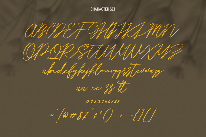 hitshot-signature-script-brush-font