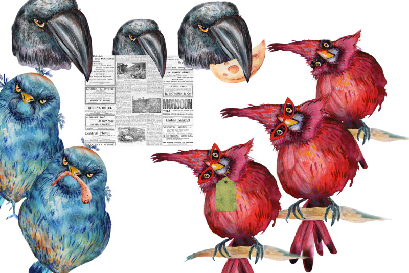 watercolor-funny-birds-png