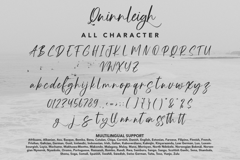 quinnleigh-modern-calligraphy-font