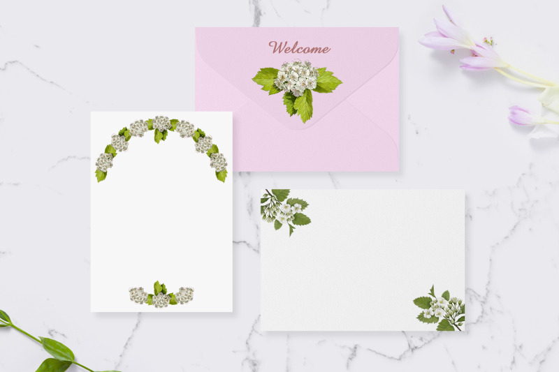 hawthorn-flowers-wedding-pattern-flowers-clipart