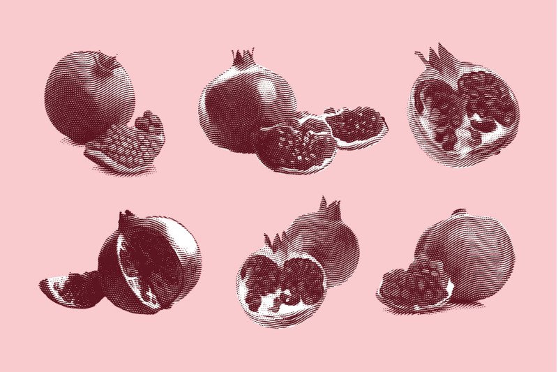 engraved-garnet-fruit-illustration