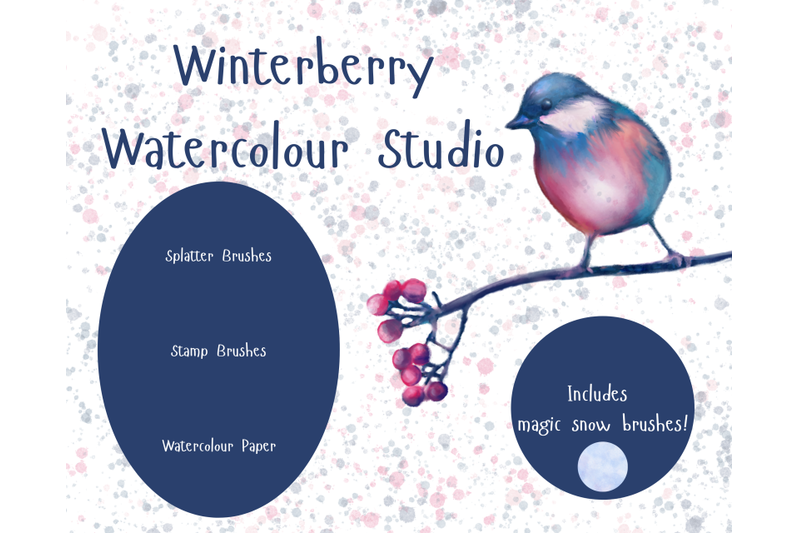 winterberry-watercolour-studio-for-procreate