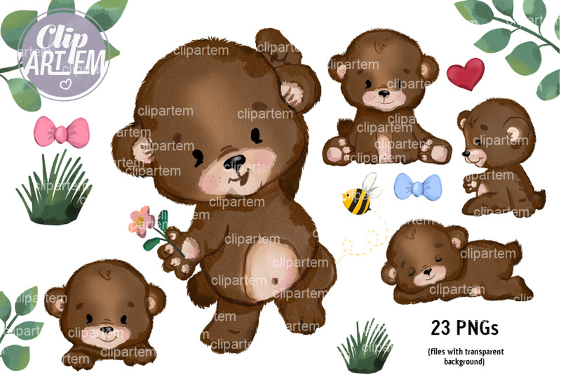 baby-bear-23-png-bundle-watercolor-clip-art-images
