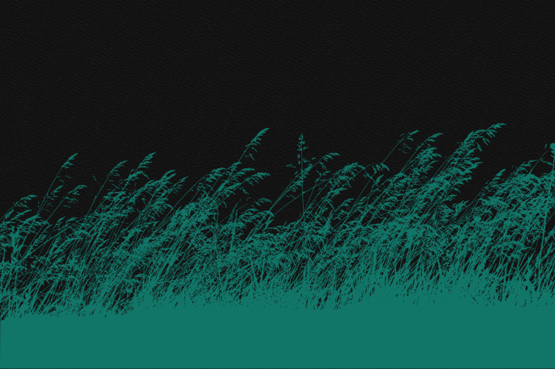 silhouettes-of-wild-grass-16-photoshop-hd-brushes-and-shapes-ai-e