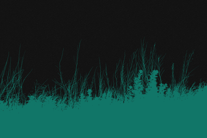 silhouettes-of-wild-grass-16-photoshop-hd-brushes-and-shapes-ai-e