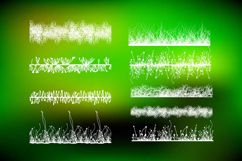 mosses-and-lichens-brushes-natural-eco-vector-adobe-illustrator-brus