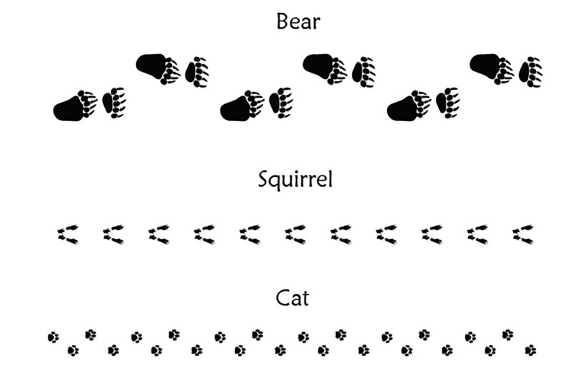 40-animal-bird-and-human-footprints-adobe-illustrator-pattern-brushes