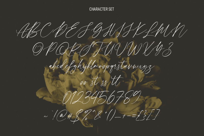 seillamikha-feminine-script-font