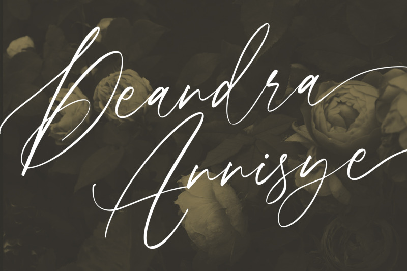 seillamikha-feminine-script-font