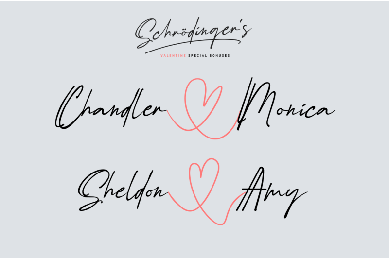 schrdinger-039-s-signature-scirpt-wedding-hotel-font