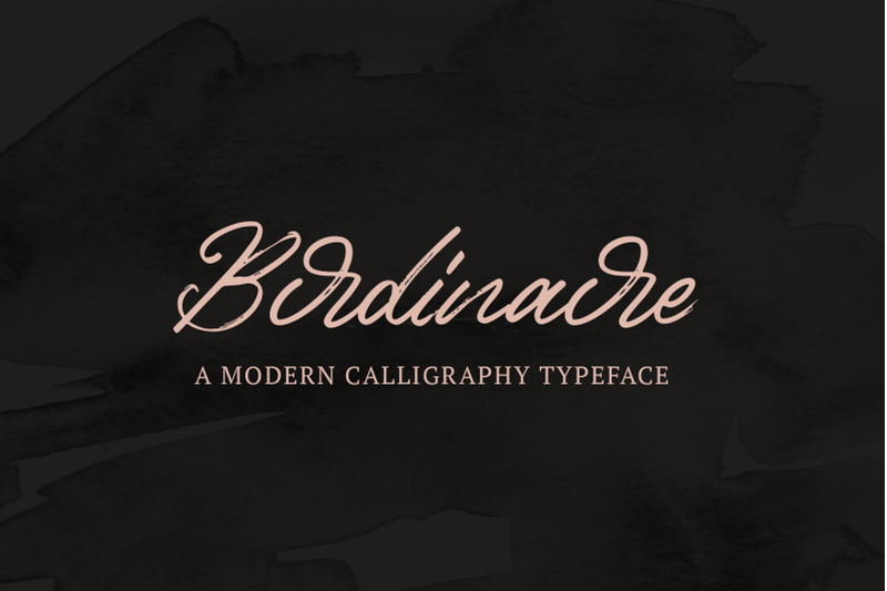 birdinaire-a-modern-calligraphy-typeface
