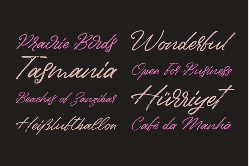 birdinaire-a-modern-calligraphy-typeface